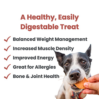 Farm to Pet Chicken Chips 4oz