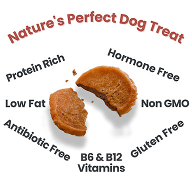 Farm to Pet Turkey Chips 4oz