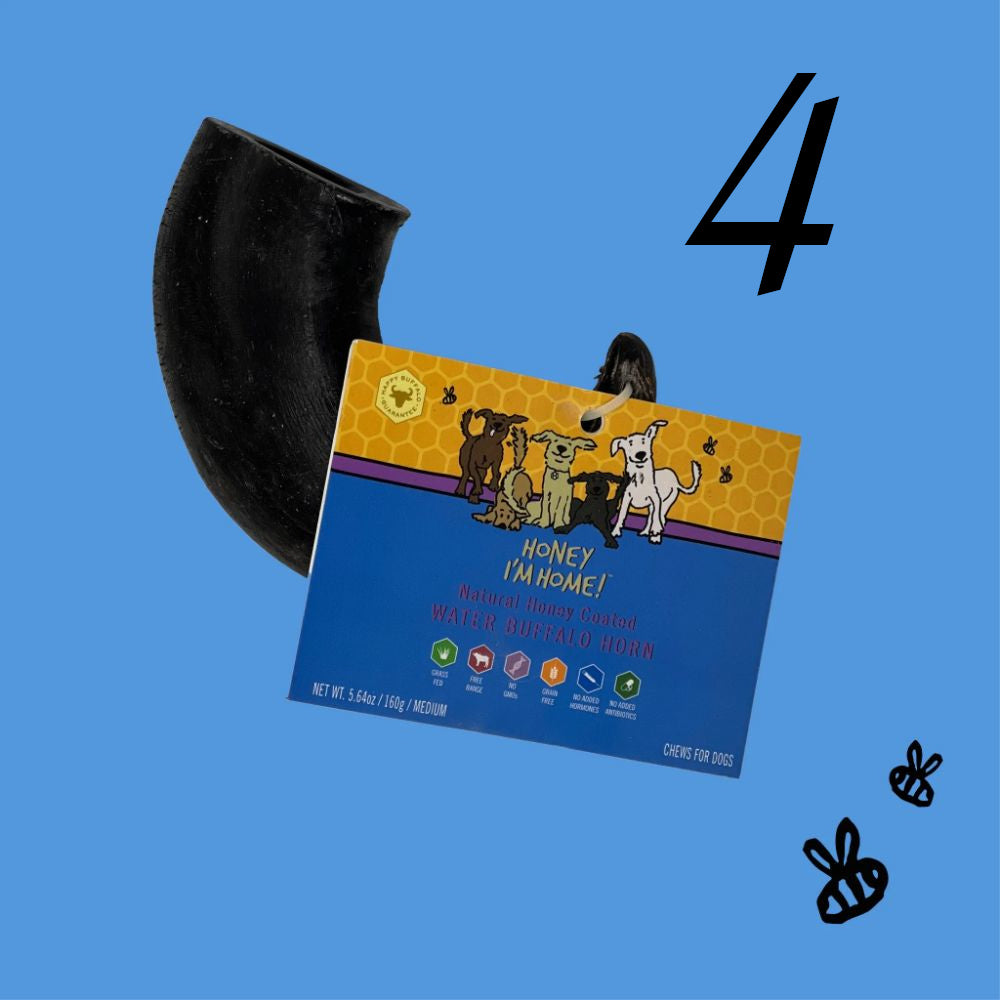 Medium Water Buffalo Horn