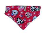 4th of July Bandanna - Elastic Band - Medium