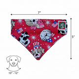 4th of July Bandanna - Elastic Band - Small