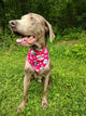 Bandannas