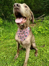 4th of July Bandanna - Collar Attach - Medium