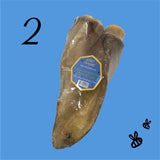 Water Buffalo Crunchy Ears