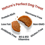 Farm to Pet Turkey Chips 4oz