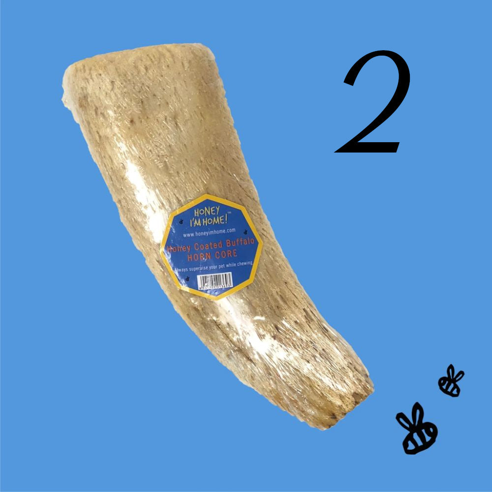 Water Buffalo Horn Core